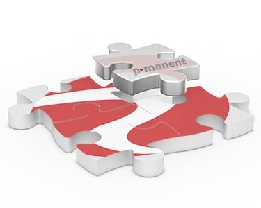 p-manent and rexx systems join forces p-manent and rexx systems join forces