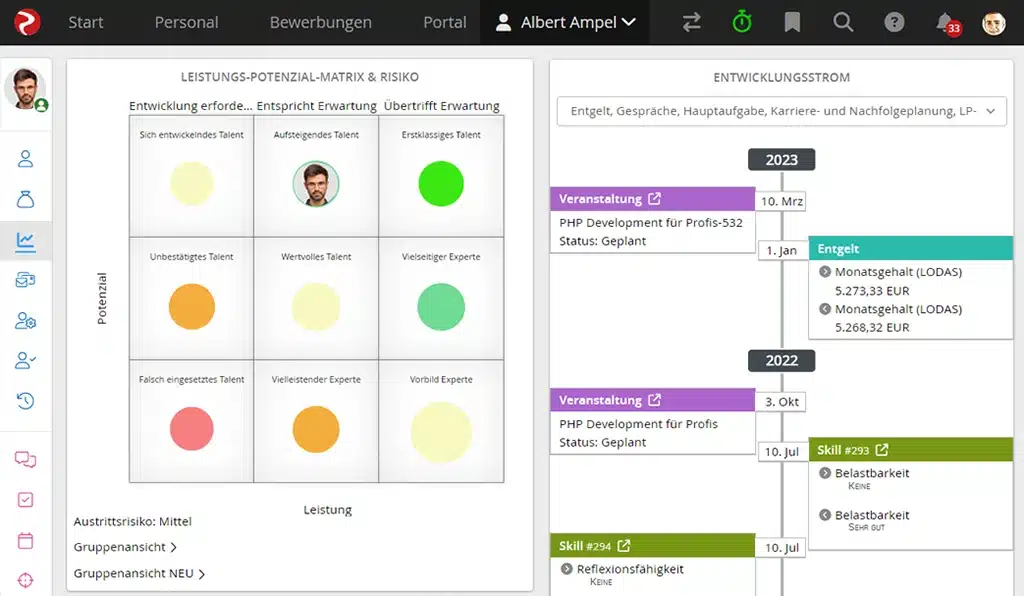 Leistung-Potenzial-Matrix in der rexx Nachfolgeplanung Software